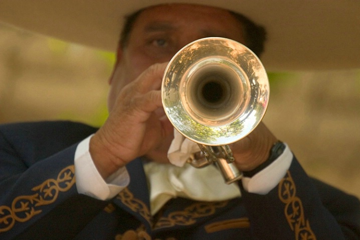 The Trumpet Player - ID: 890657 © Mary-Ella Bowles