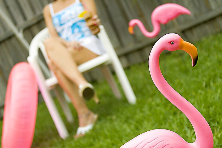 Pink Flamingos - ID: 890845 © Wendy M. Amdahl