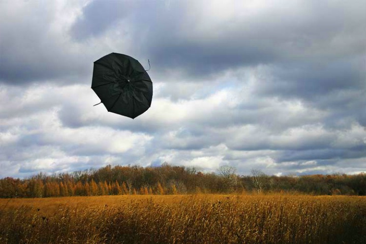 Umbrella