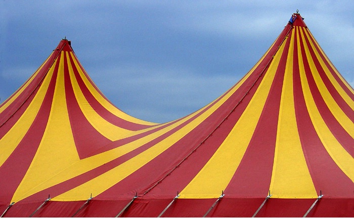 Circus has come into town