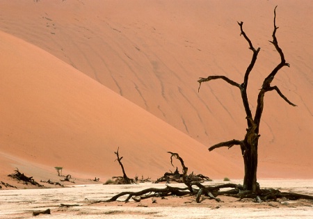 DeadVlei-Namibia