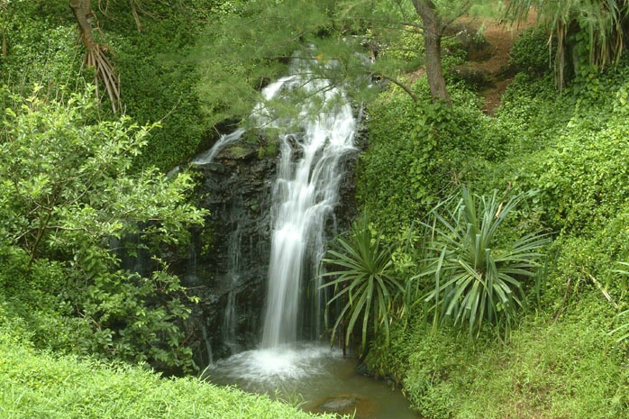 Waterfall, Queen Emma's Bath Trail, Kauai - ID: 910818 © Larry J. Citra