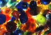 SOLAR FLOWERS