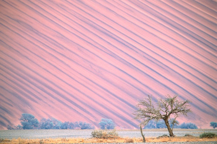 Sossusvlei-Namibia