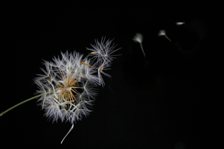 Blowing away