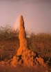Termite mount