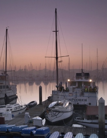 Harbor Lights