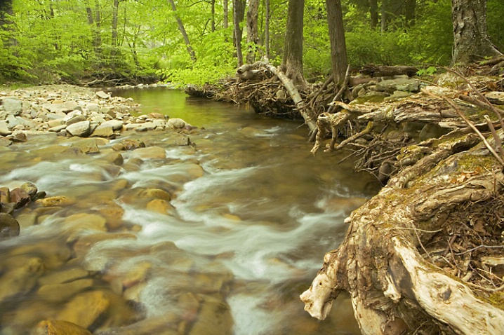 Pennsylvania Trout Stream in Spring - ID: 920156 © John Tubbs
