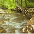 2Pennsylvania Trout Stream in Spring - ID: 920156 © John Tubbs