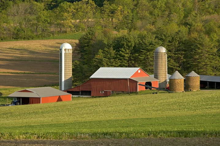 Allegar Farm - Pennsylvania - ID: 920158 © John Tubbs
