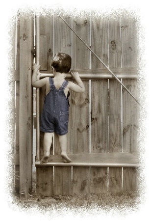 Climbing Fences