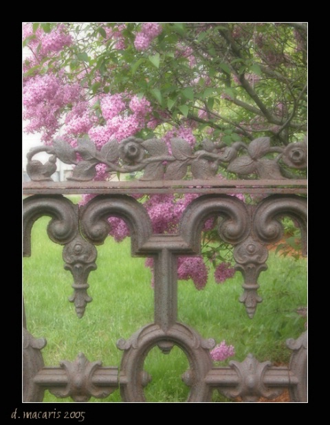The Gate II