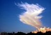 A Dancing Cloud