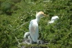 MOM & KIDS