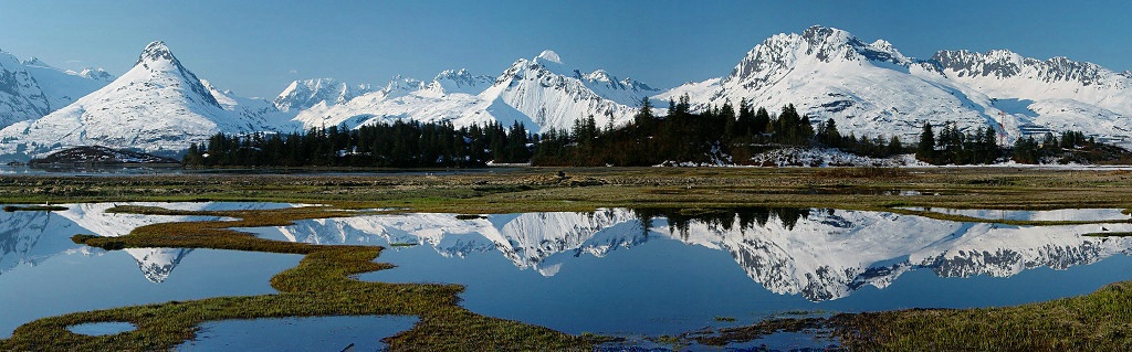 Pond Symmetry