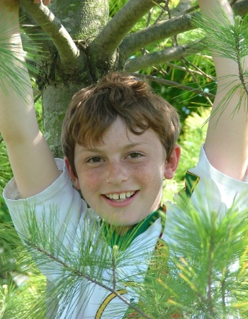 Tree Climber