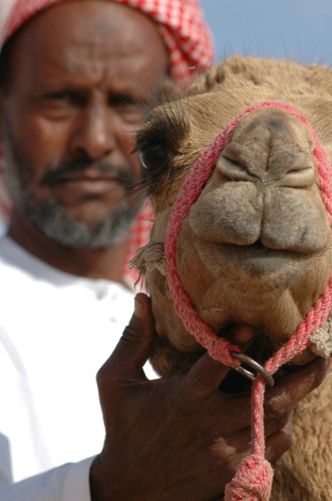 Camel and keeper