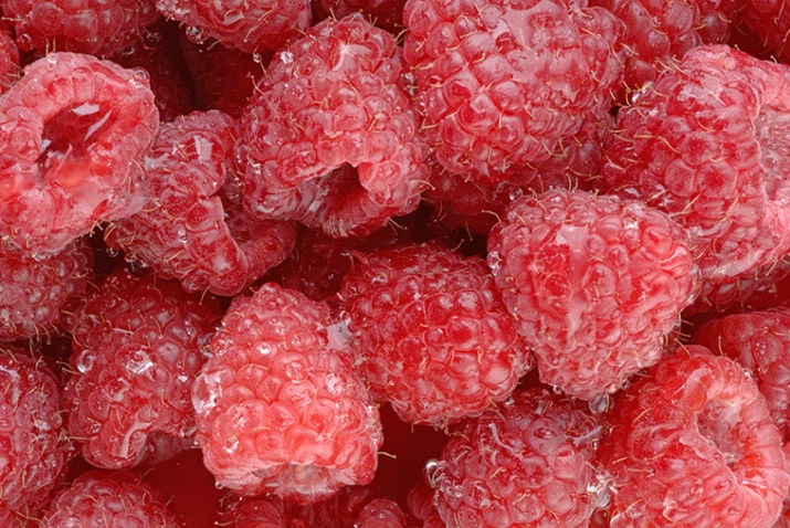 Raspberries Macro