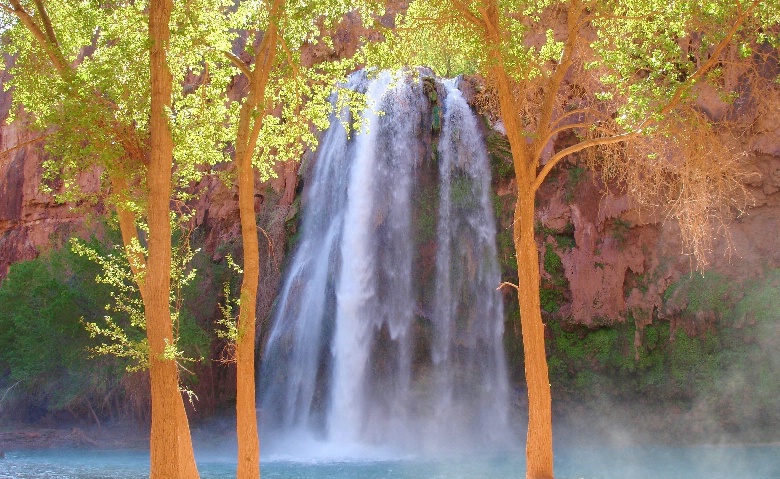 Havasu Falls Framed between Trees