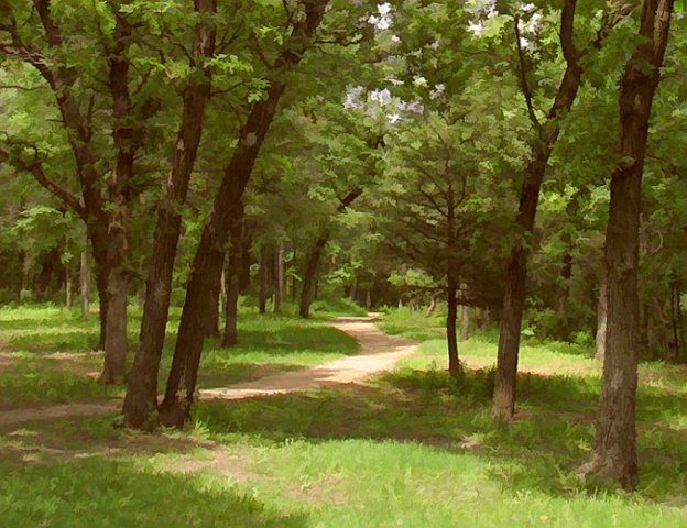 Path Through the Trees