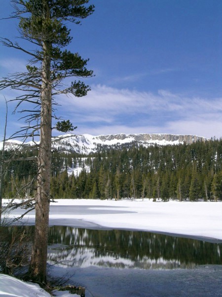 Mammoth Crest