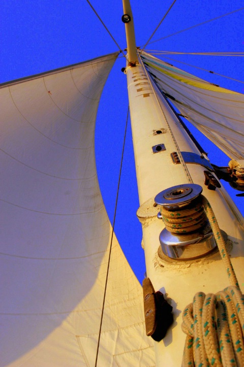 wind in my sails