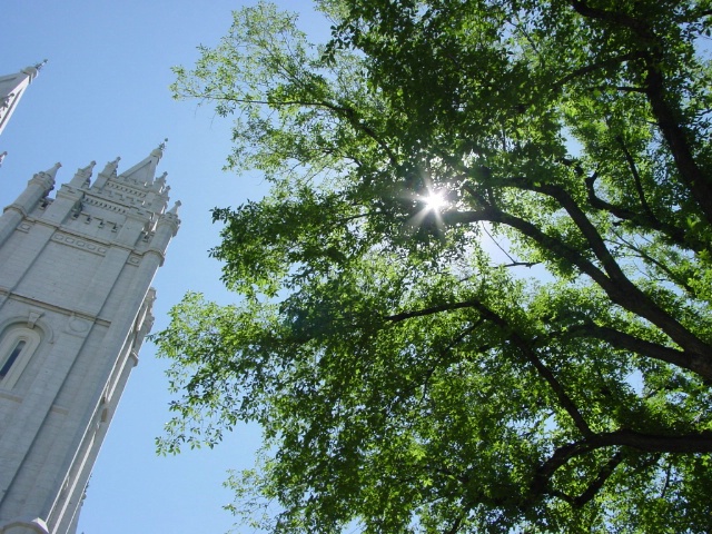 Sunny Day on the Square