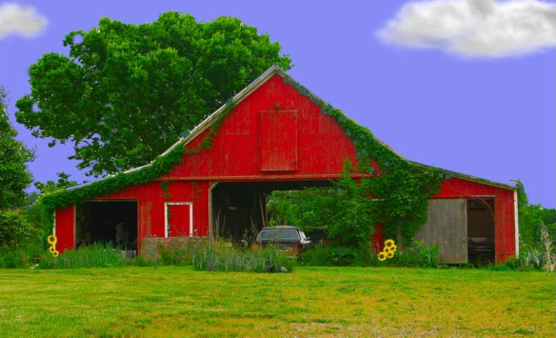 Country Barn