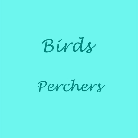 Birds: Perchers