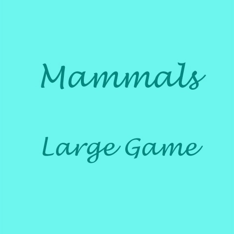 Mammals: Large Game