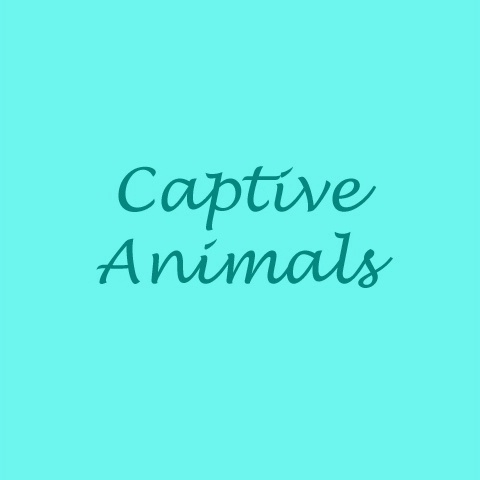 Captive Animals