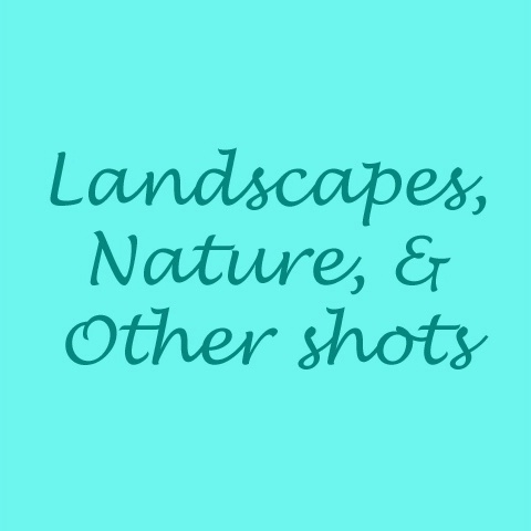 Landscapes, Nature, and Other Shots