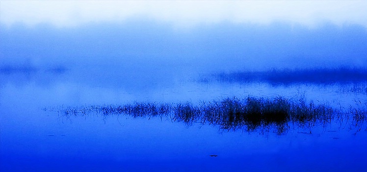 Blue Marsh at Sunrise