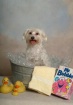 WHO NEEDS A BATH