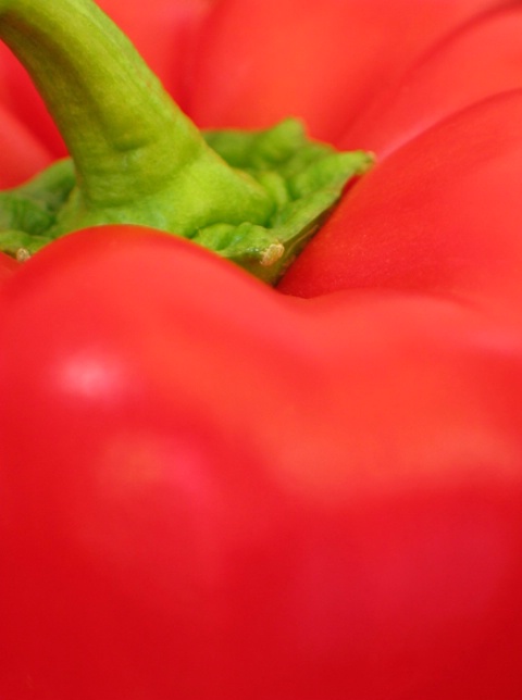 Red Pepper and Stem