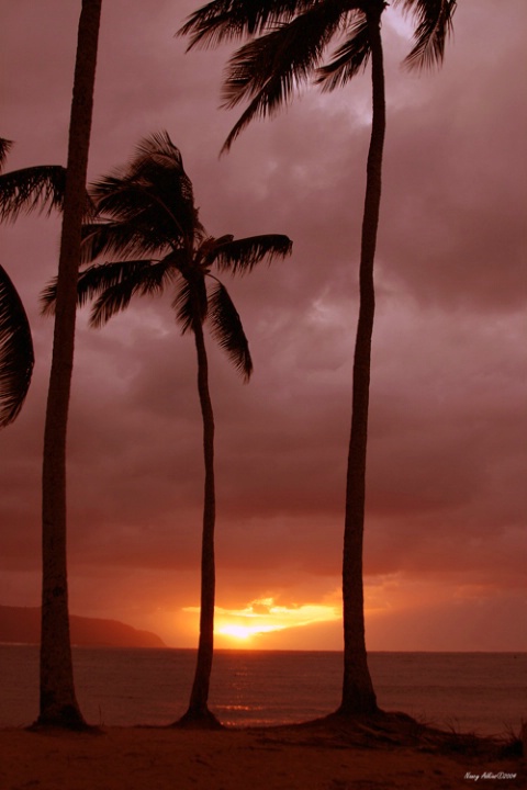 Hawi Sunset