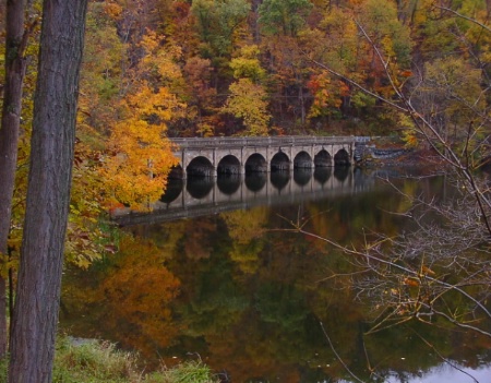 Bridging the seasons