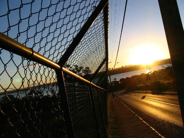 Fence Sunset