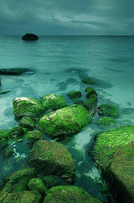 Green Rocks...