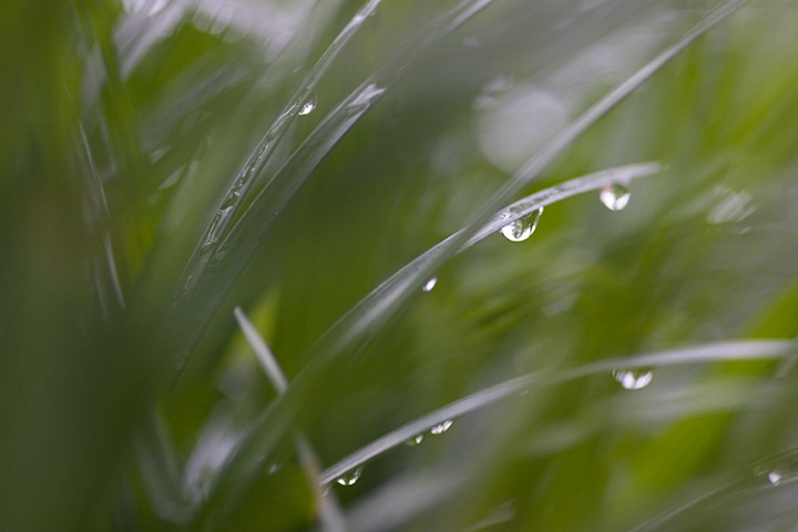 Droplet