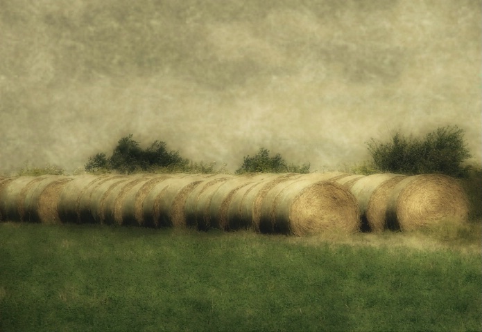 Bales 