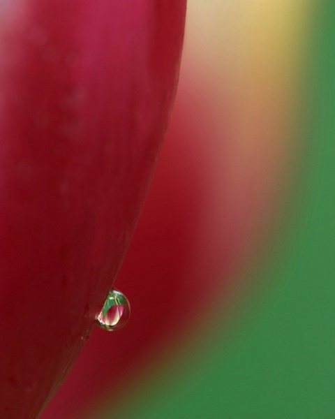 Droplet's Eye View