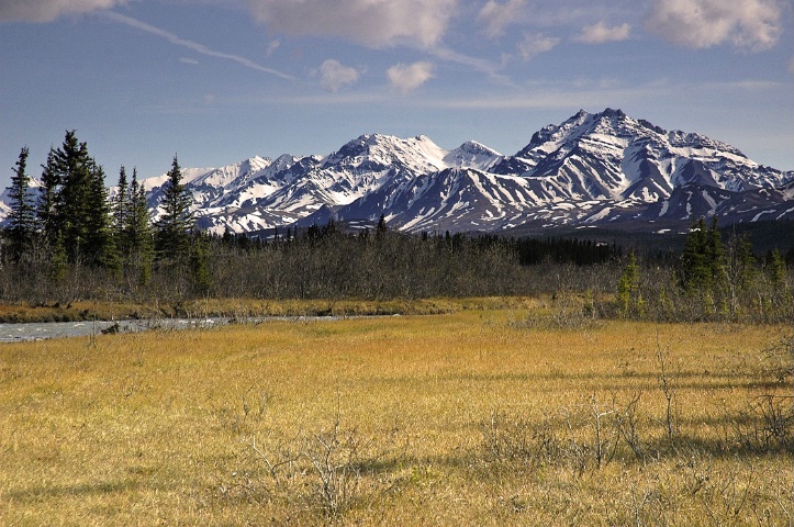 Denali National Park