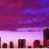 © Wendy M. Amdahl PhotoID# 972921: Hot Pink Miami