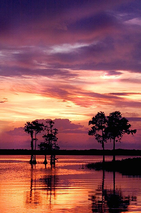 Jewel Toned Lake Sunset - ID: 972948 © Wendy M. Amdahl