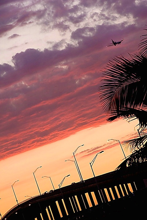 Miami Sunset 1 - ID: 973243 © Wendy M. Amdahl