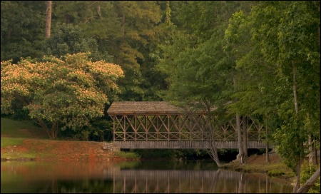 Covered Bridge at Stone Mountain