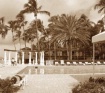 A day at the pool