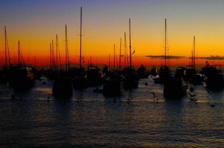 Sunrise At Catalina Island