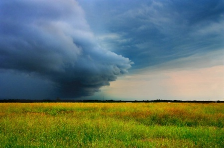 Storming across the field